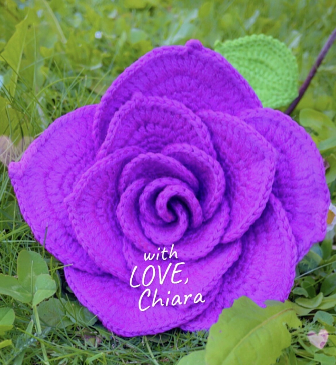 Rose Crochet