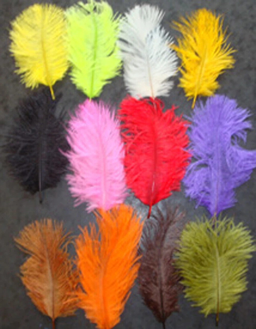 GRIP Mini Select Ostrich Plumes. 12 plume Assorted Colour Packs to Clear Pack 2