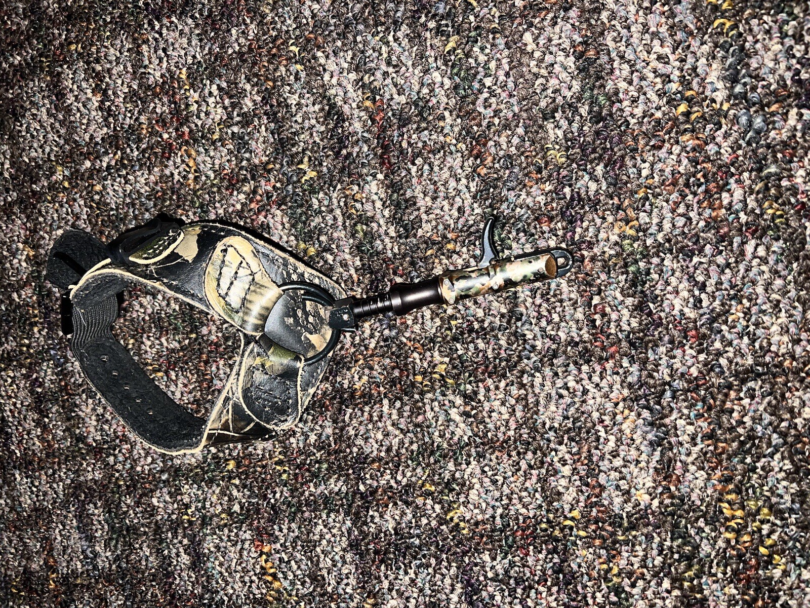Bear Paradox Compound Bow