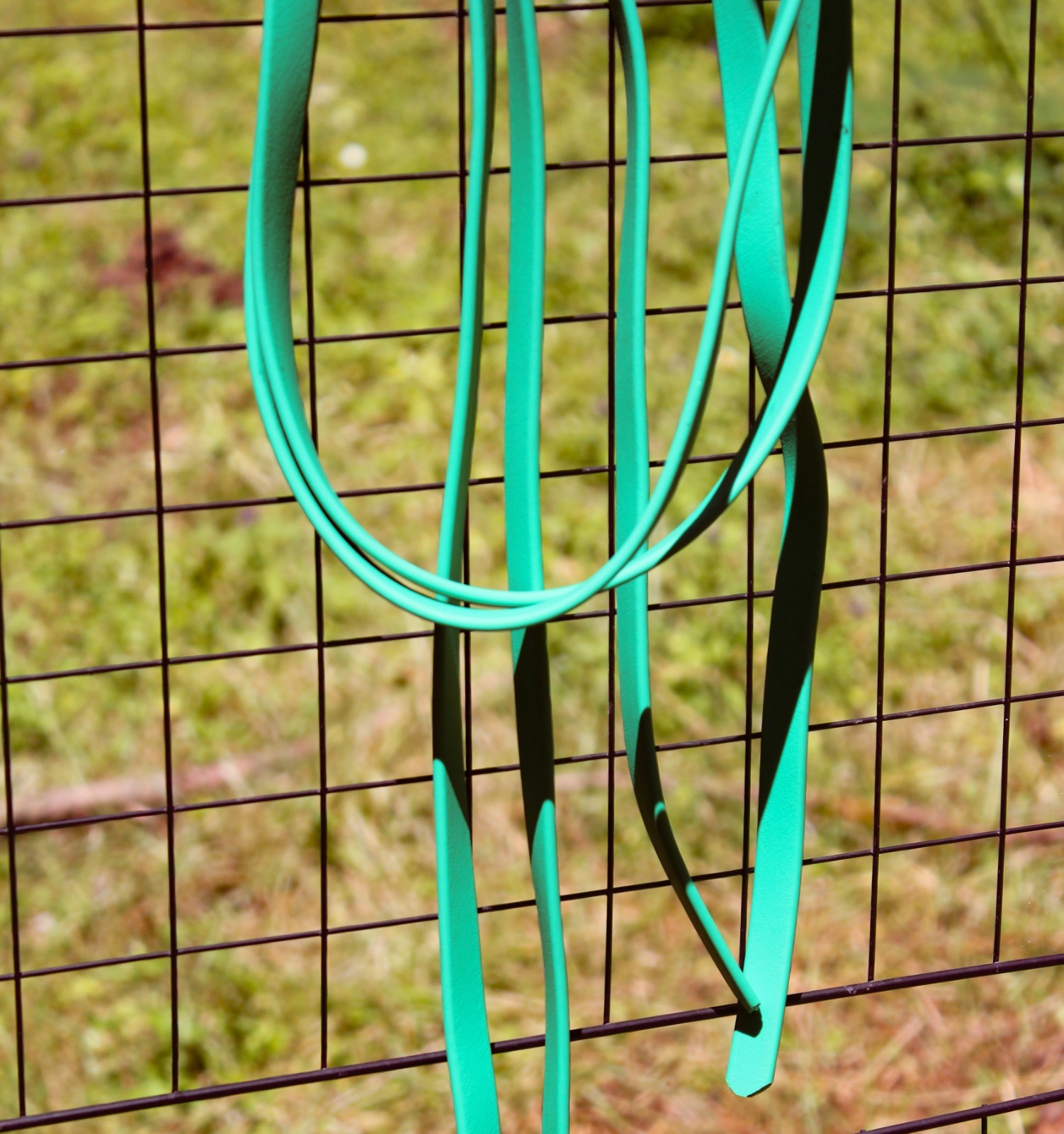 Biothane Split Reins - Kelly Green