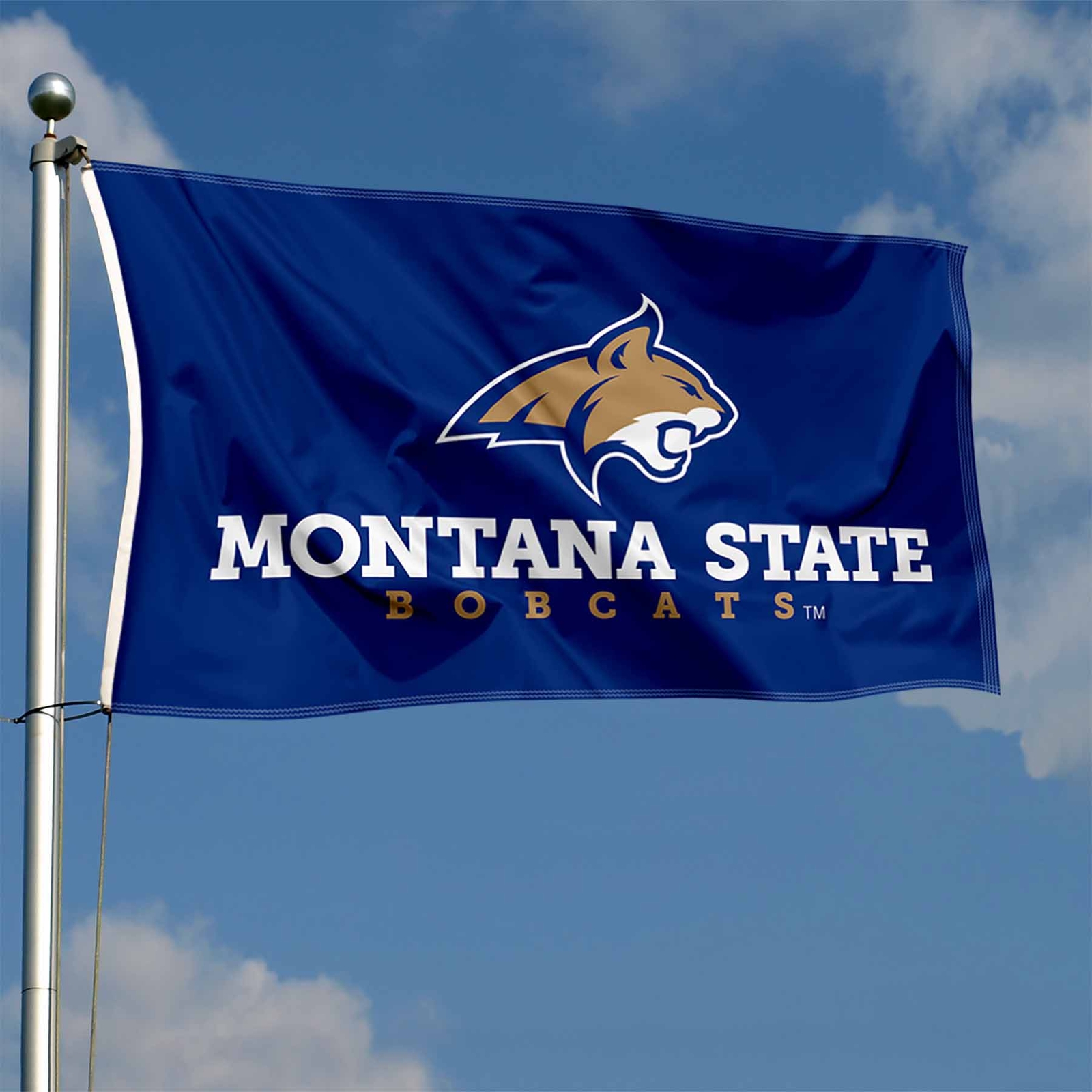 Montana State University MSU Flag 3x5 Banner