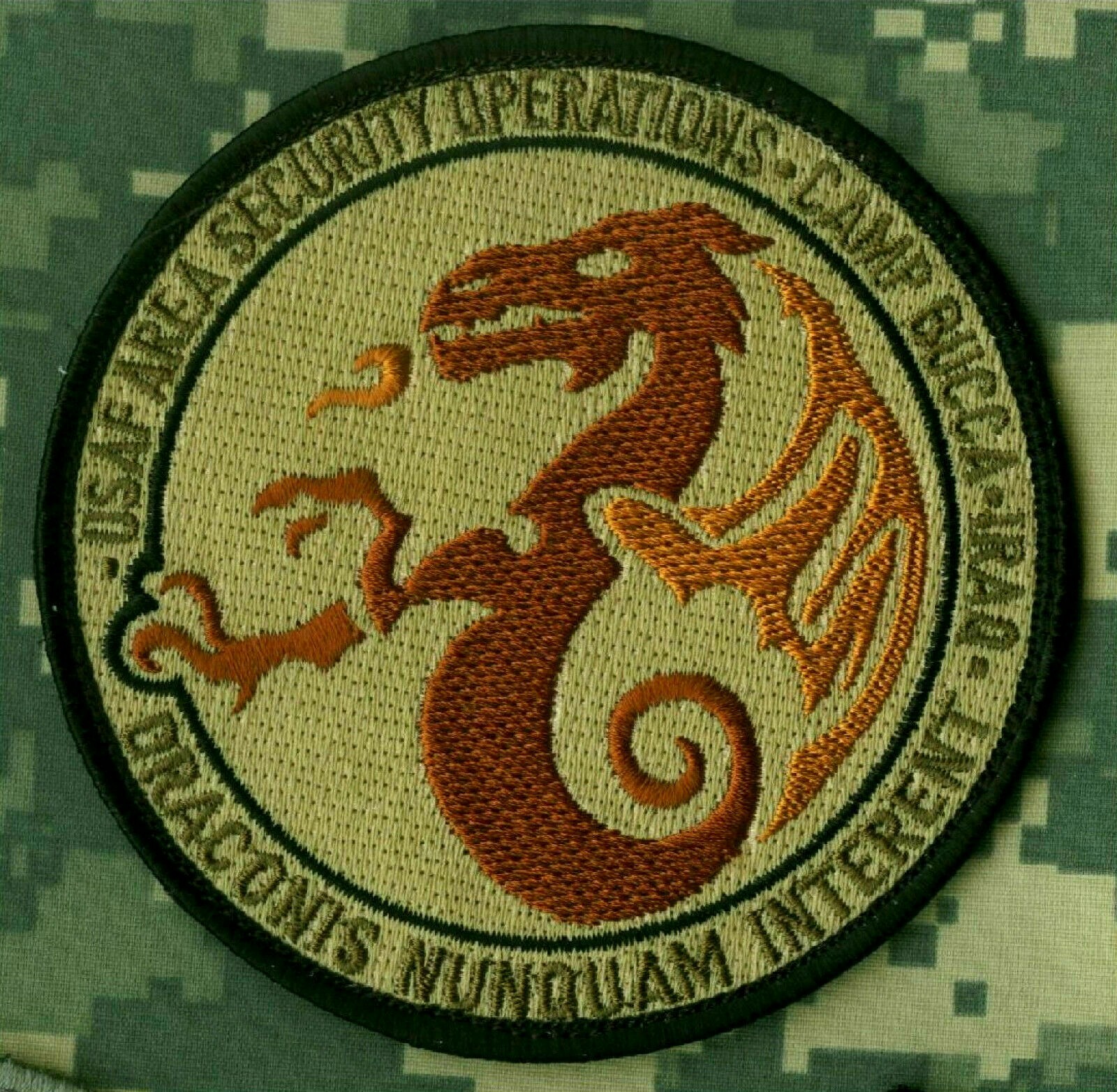 USAF AREA SECURITY OPS CAMP BUCCA IRAQ DRACONIS NUNQUAM INTERENT vêlkrö PATCH