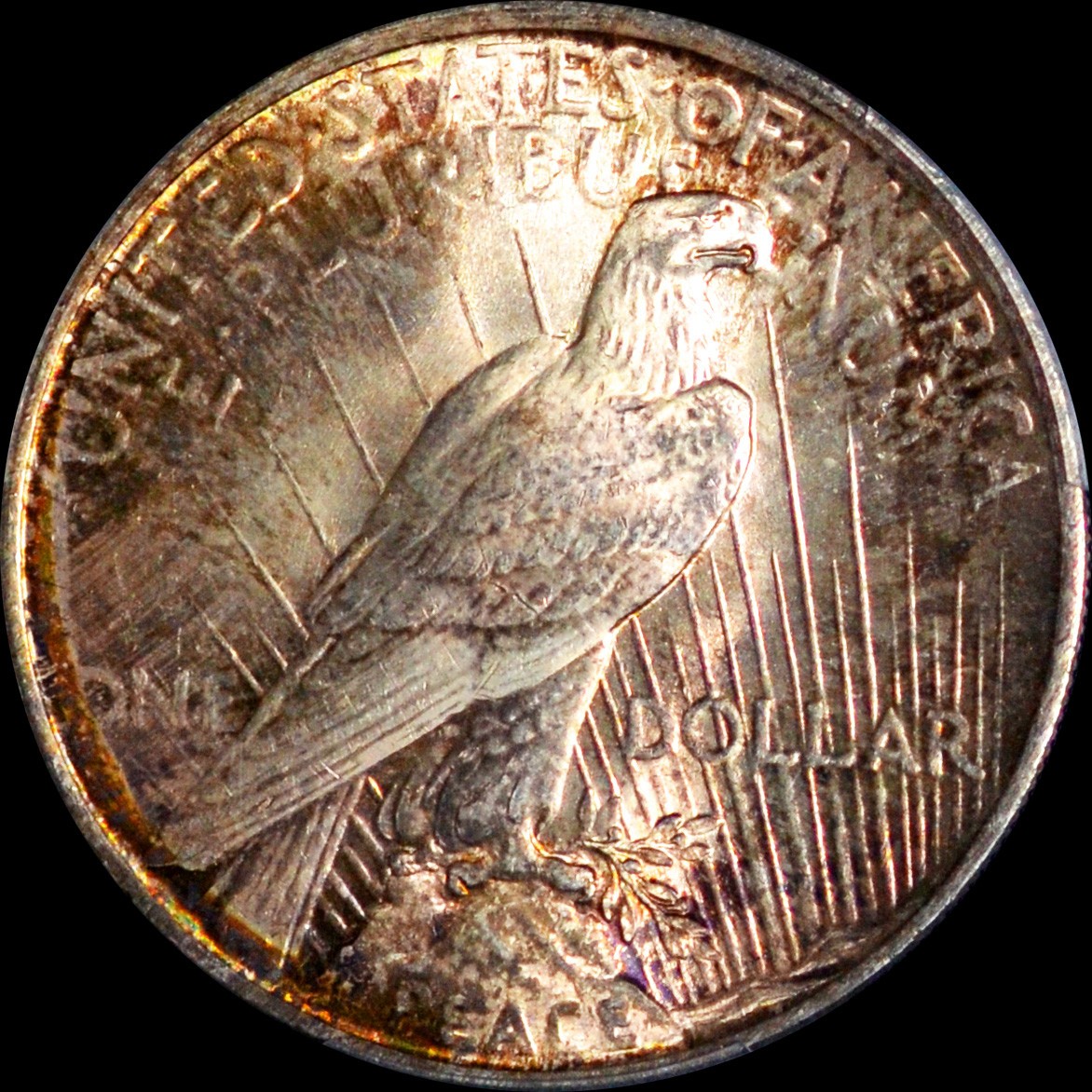 PCGS MS63 1924 Silver Peace Dollar - Toned both side