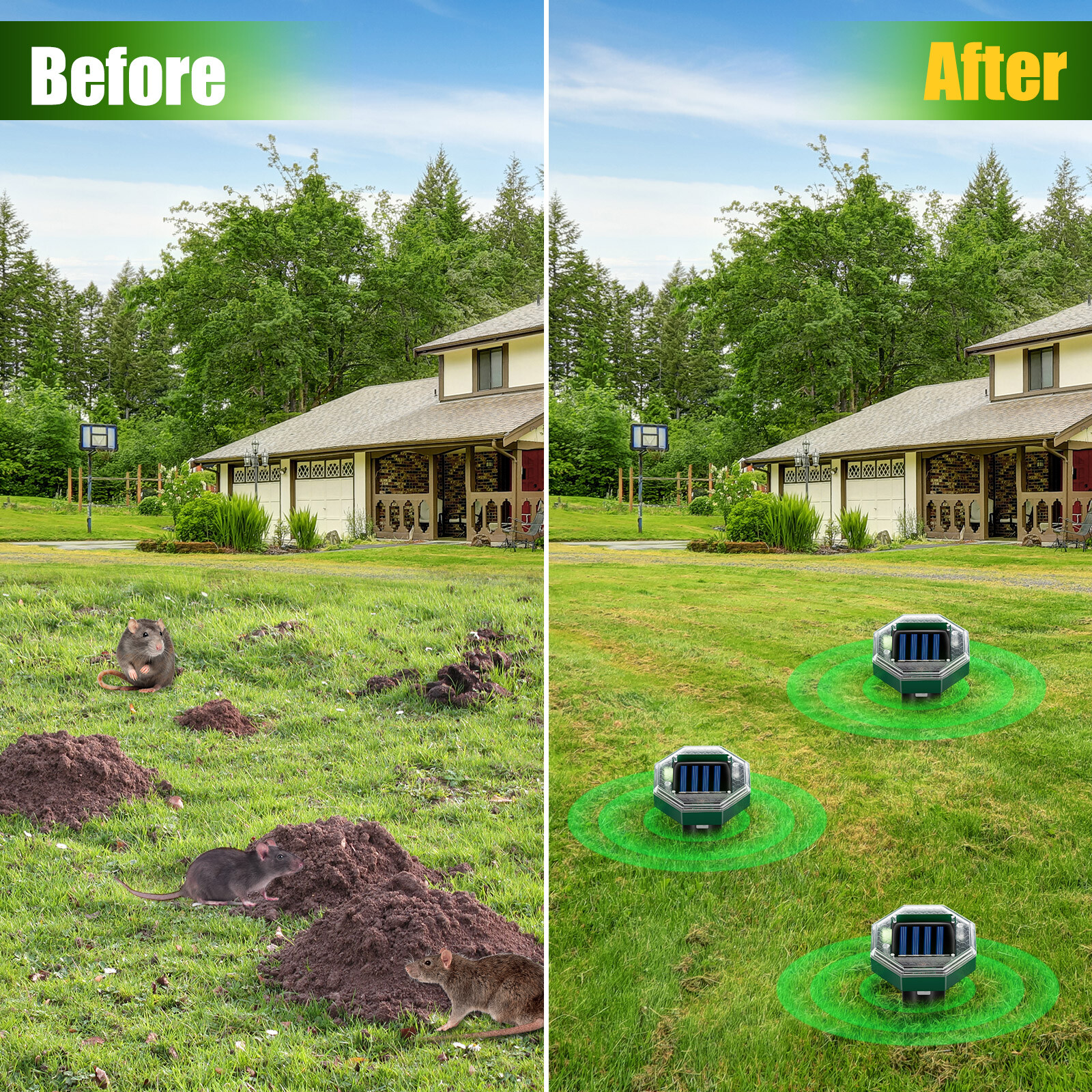 4 Pack Solar energy mousetrap octagonal model