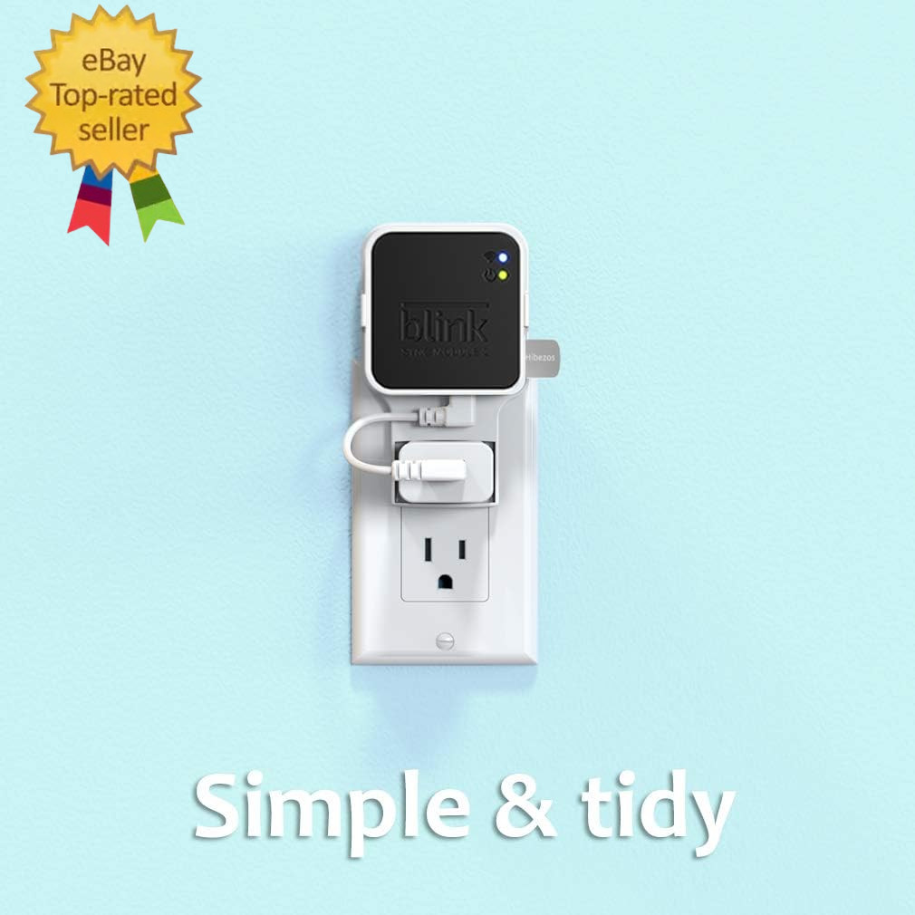 256GB USB Flash Drive and Outlet Mount for Blink Sync Module 2, save Space Easy