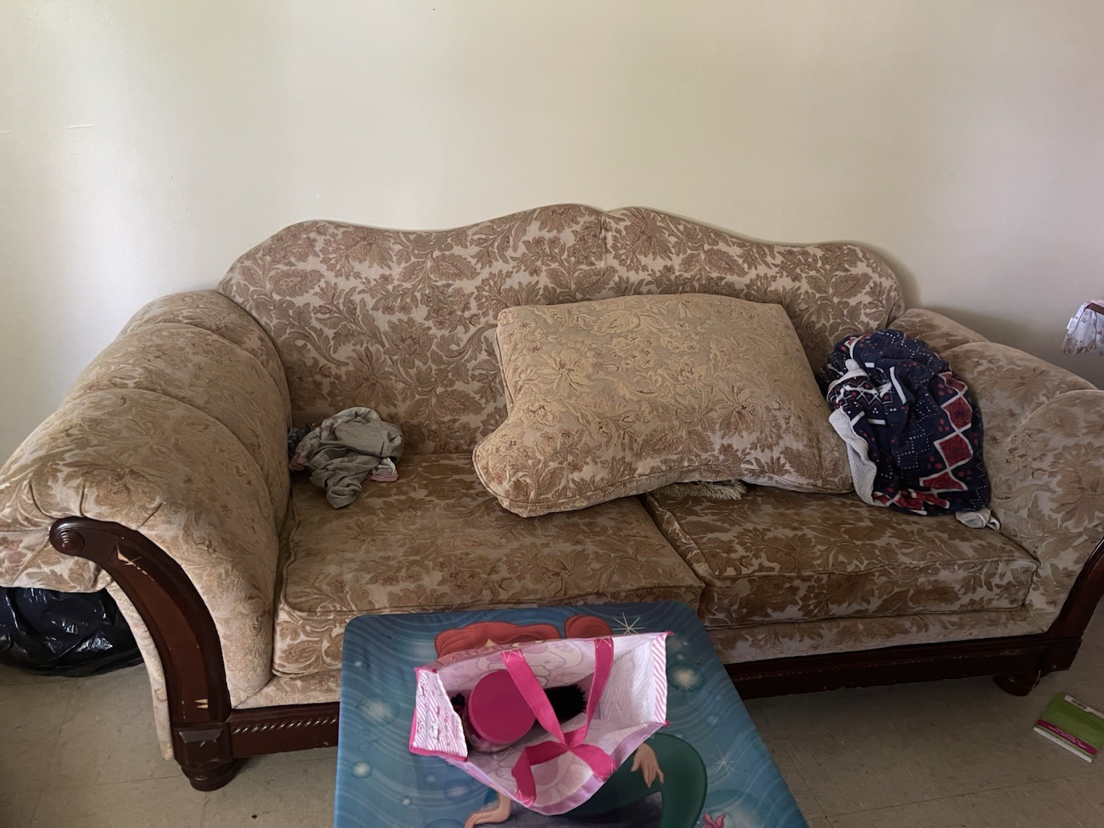 Light Brown Couch