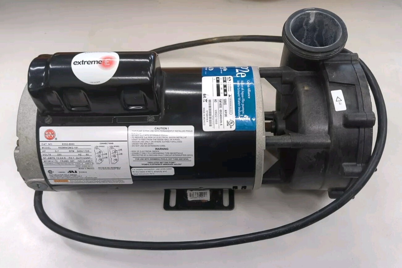 Gecko Alliance 05340009-5 5 HP Flomaster Xp2E Series Pump Model R63MWDMG-181