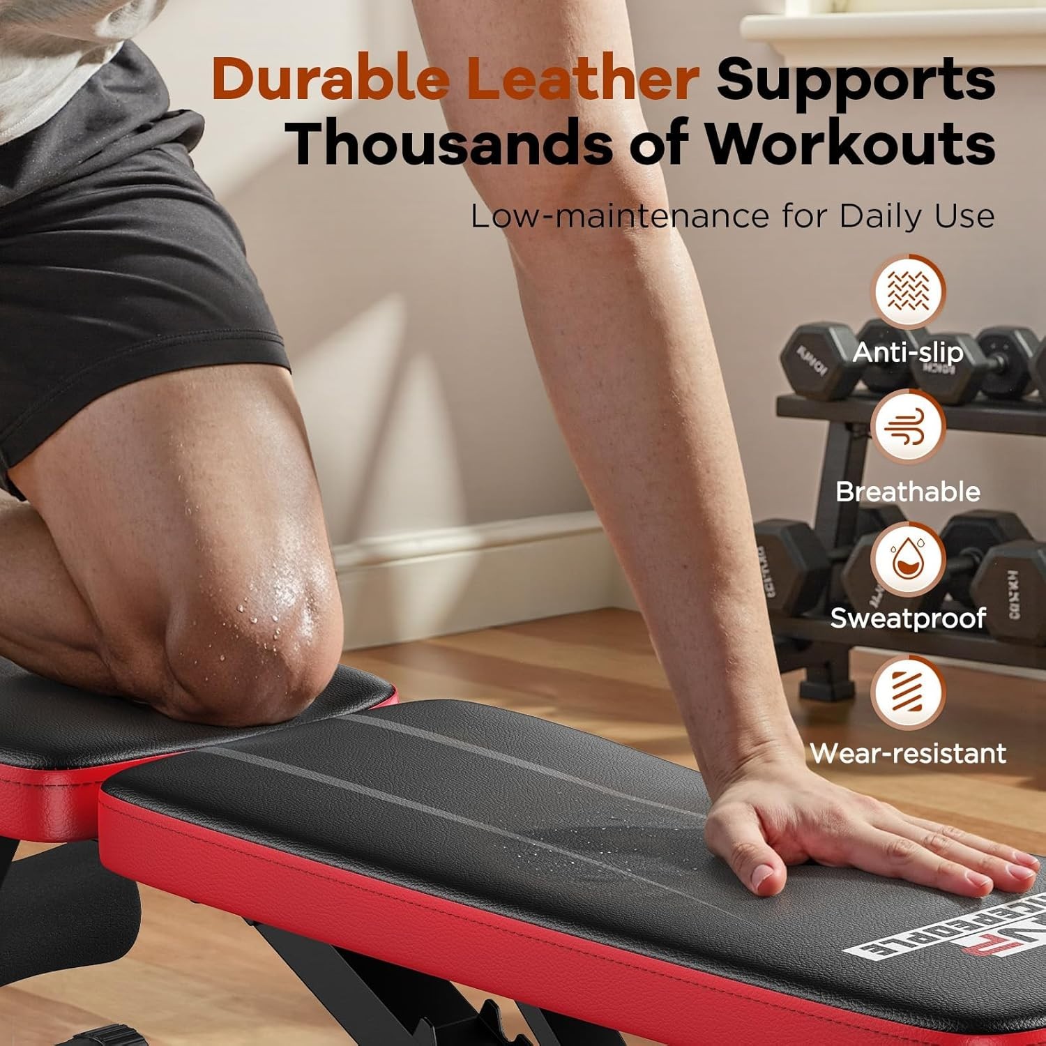 Adjustable Weight Bench for Home Gym, 660LBS Capacity Workout Bench with 8 Backr