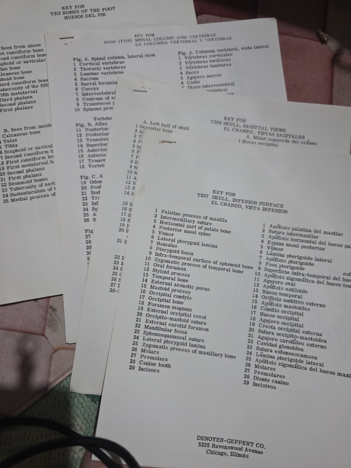 Vintage Denoyer-Geppert Anatomy Chart Keys Lot Medical Educational Teaching Aids