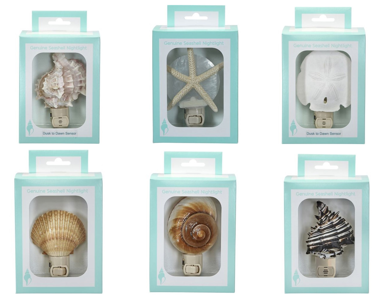 Seashell Night light Boxed LED Genuie Night Light 3" Shell