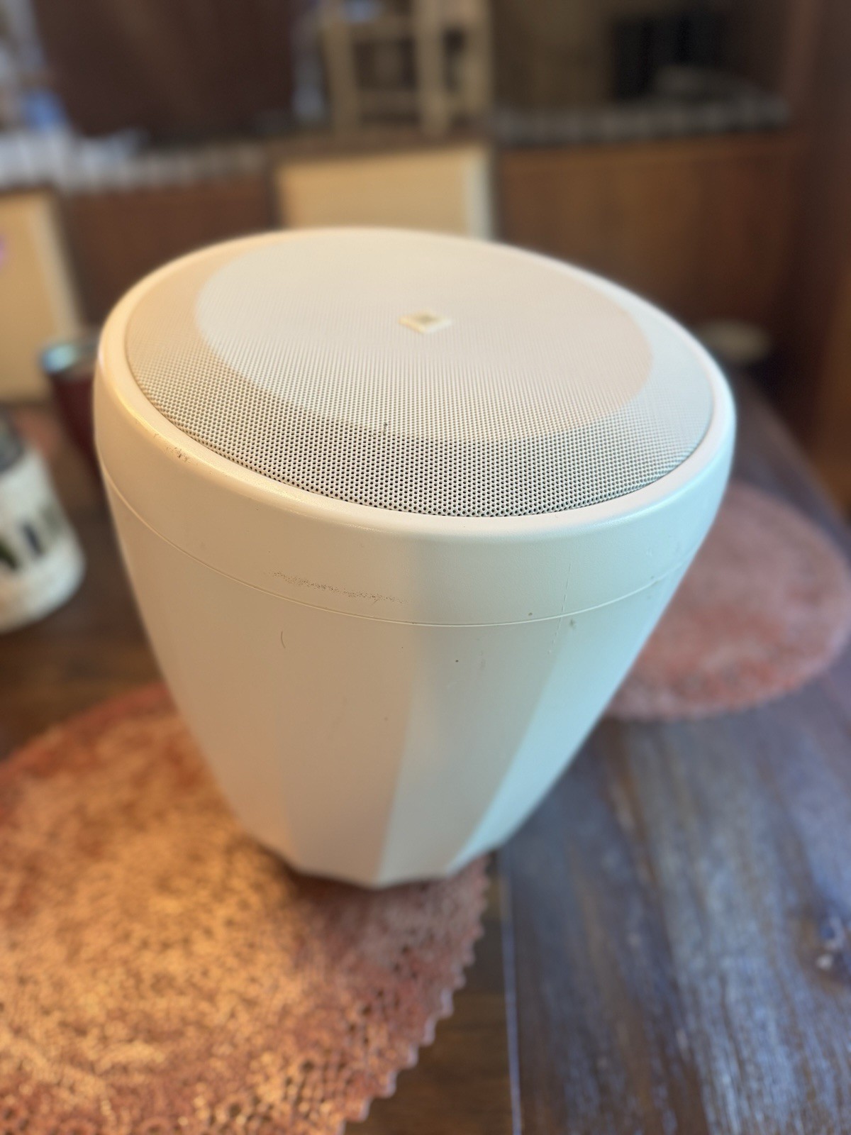 JBL Control 67P/T-WH Full-Range Premium Pendant Speaker