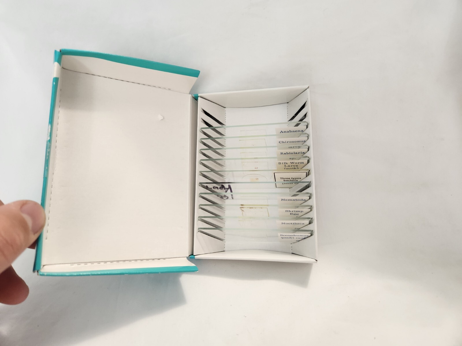 Microscope Glass Slides Edu Science Biology