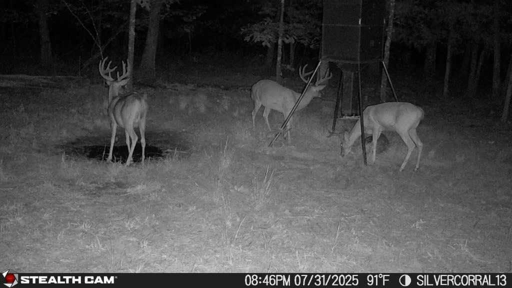 Stealth Cam Fusion MAX 2.0 / Cellular Camera / 36MP / 2 Pack