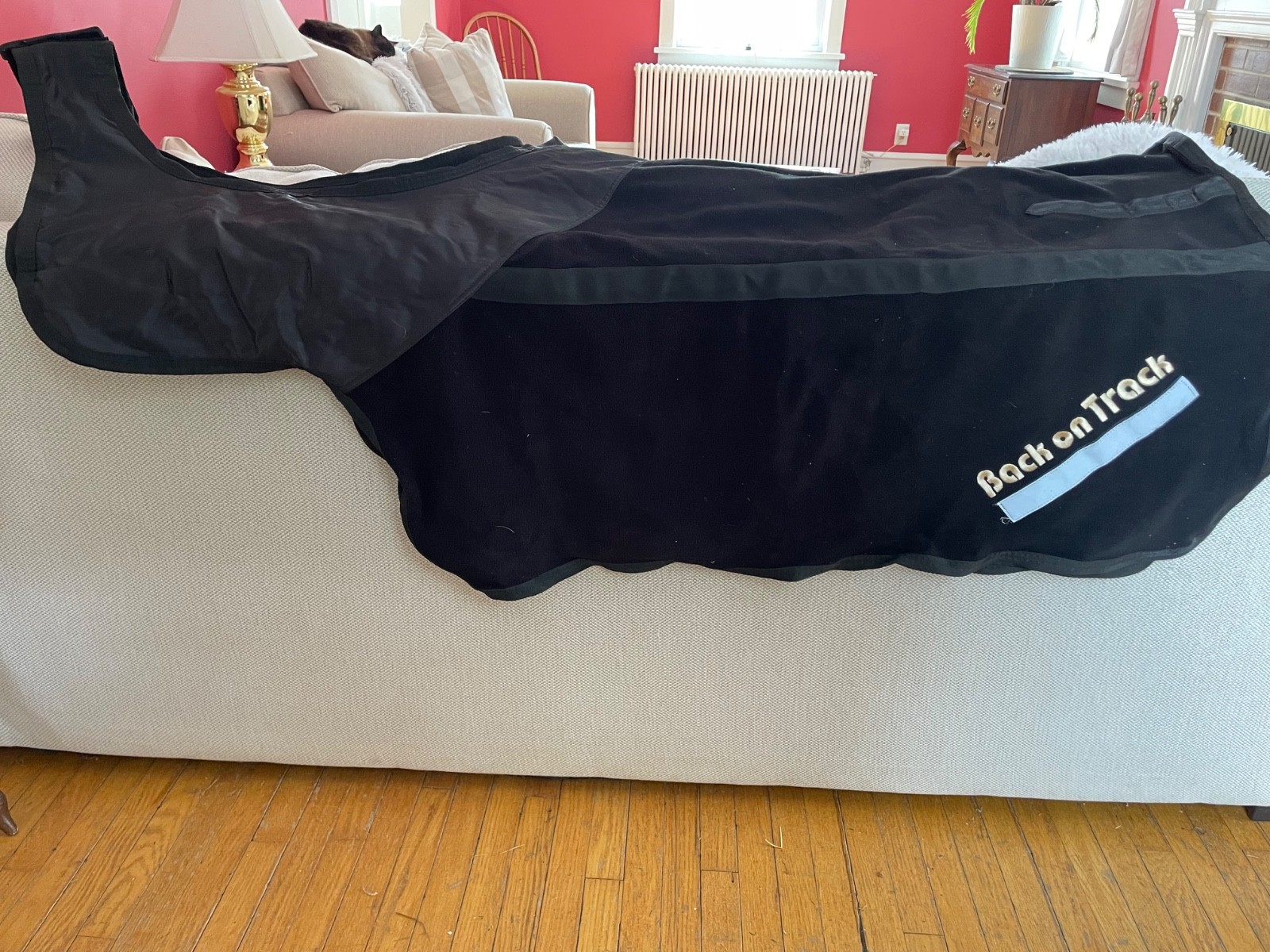 Back on Track Therapeutic Fleece Exercise Sheet 75”