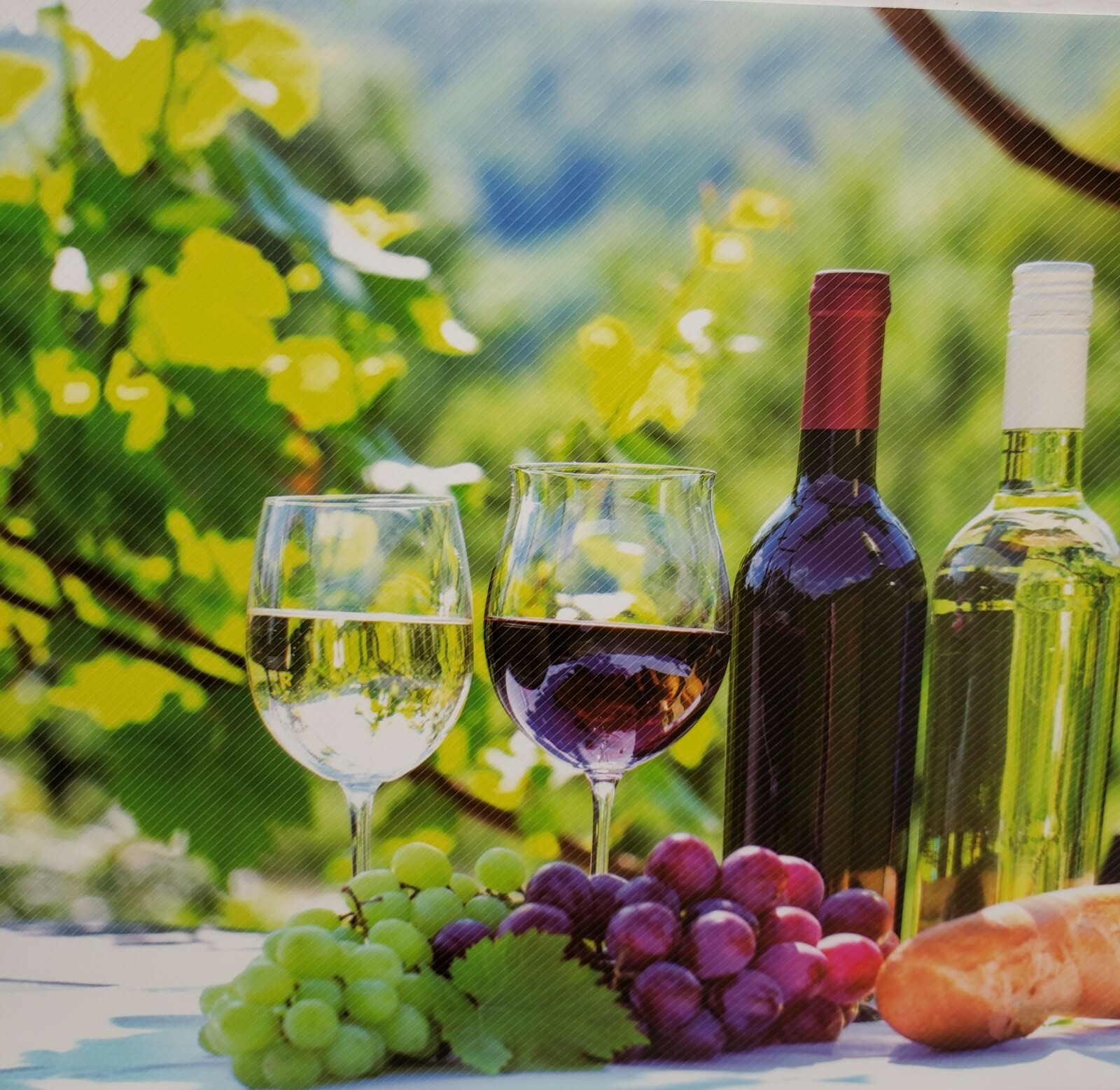 12 pc 3D Thin Plastic Set: 6 PLACEMATS & 6 COASTERS, WINE & GRAPES, Mirtex