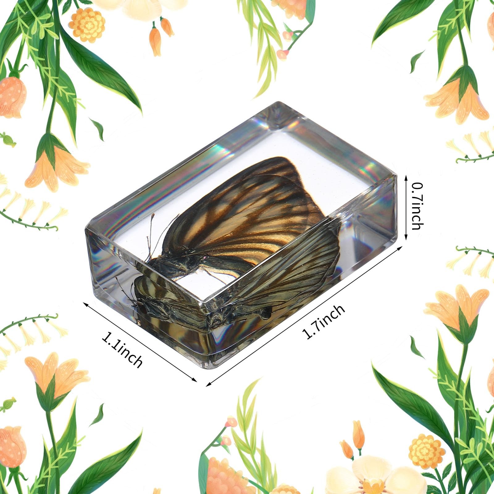 12 Pcs Butterfly Insect in Resin Specimen Bugs Collection Paperweights，12...