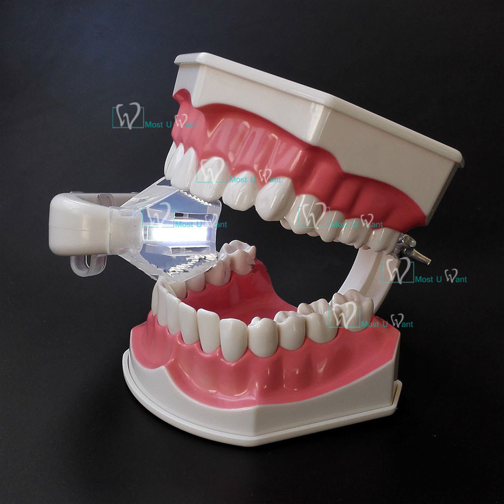 Dental Wireless Chargeable Intro Oral LED Lamp Bite Lamp Suction US Stock Light