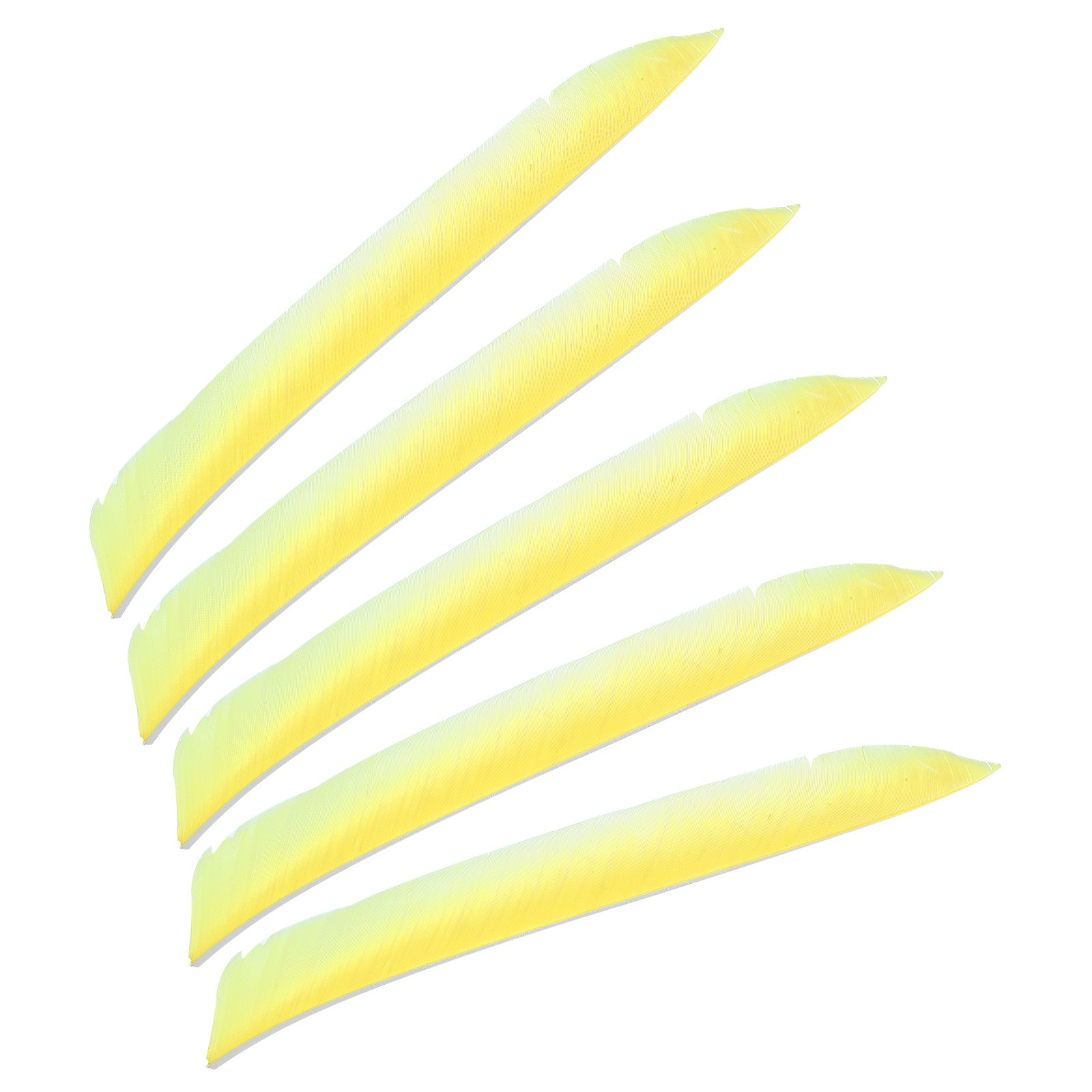 50pcs Arrows Vanes 11 Inch Turkey Feather Arrow Fletching Right Wing, Yellow