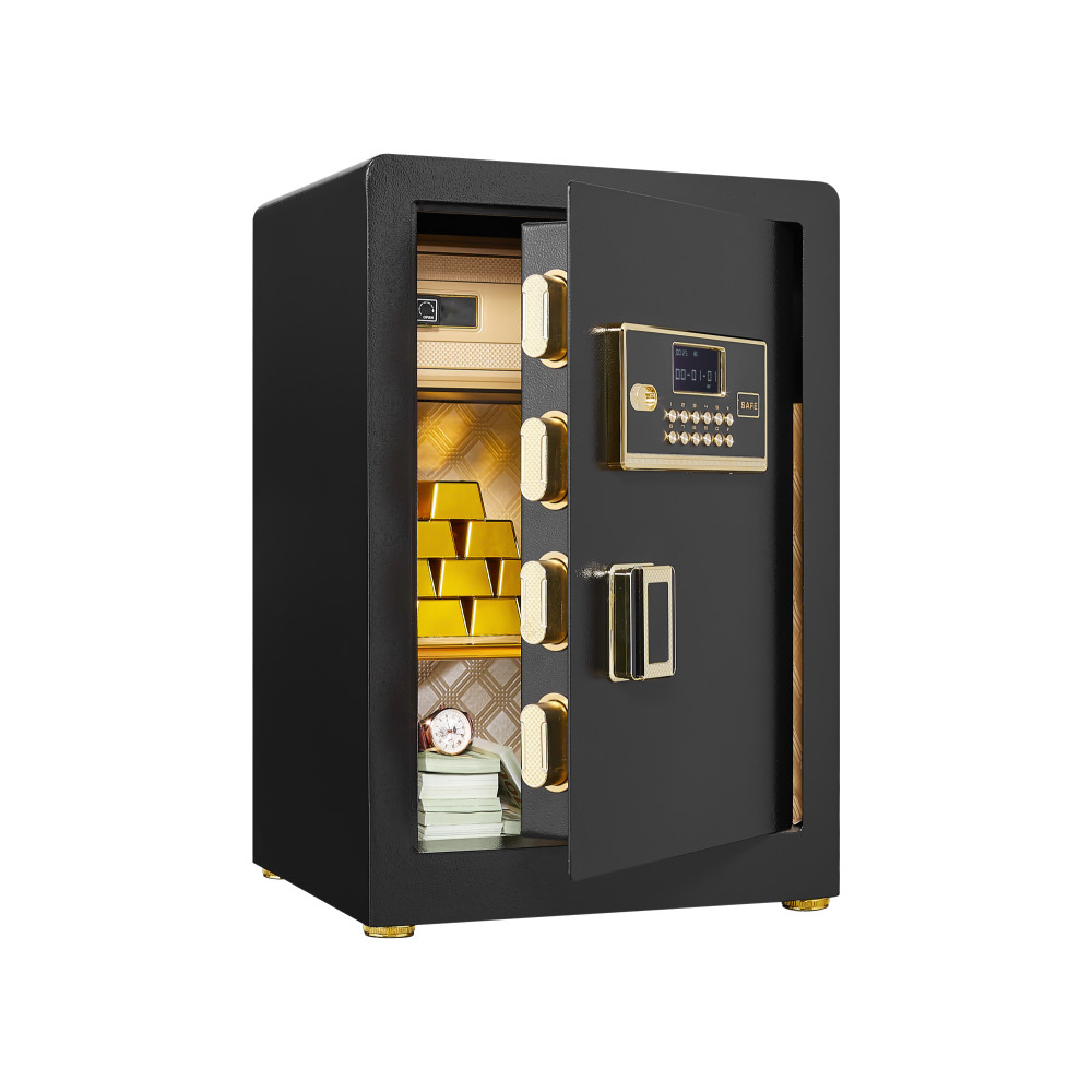 0.23CF Key+Password Safe, Mini Storage for Money & Docs