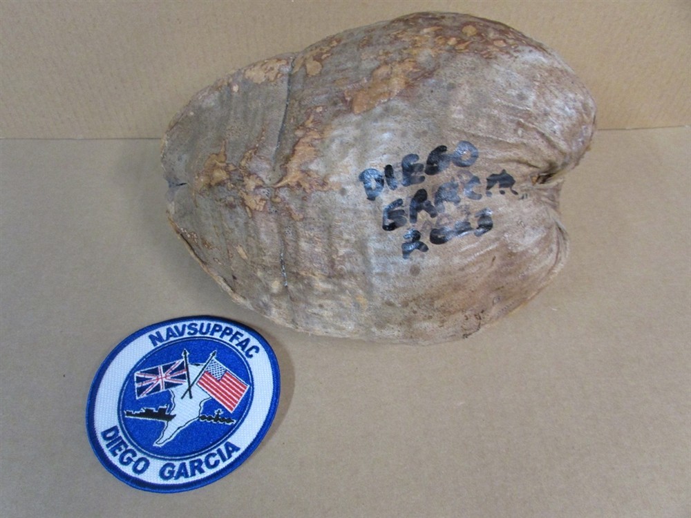 Naval Support Facility DIEGO GARCIA Coconut Souvenir US NAVY USAF Base + Patch