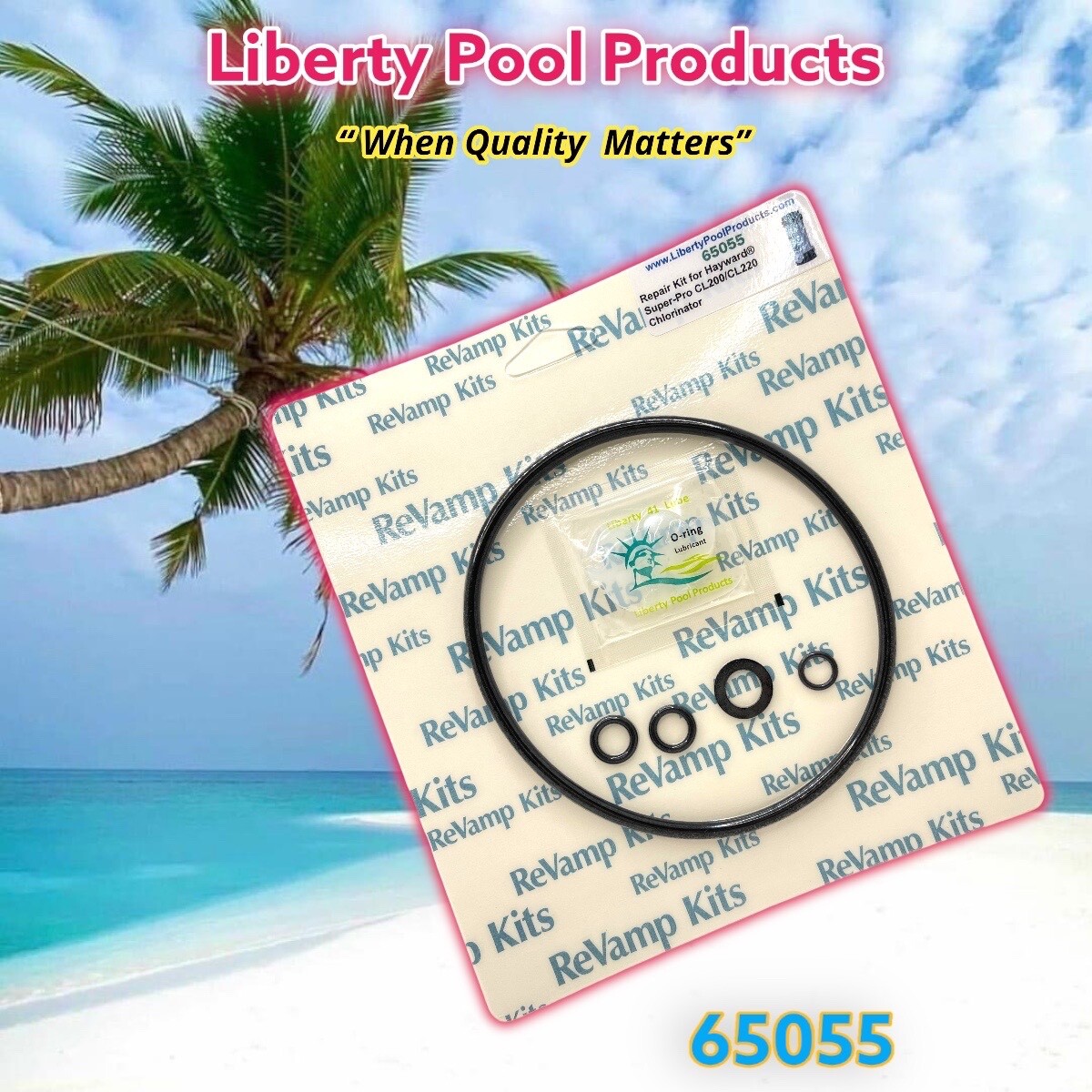 Hayward Repair Parts Kit CL200-CL220 Chlorinator Feeder By Liberty For GO-KIT55