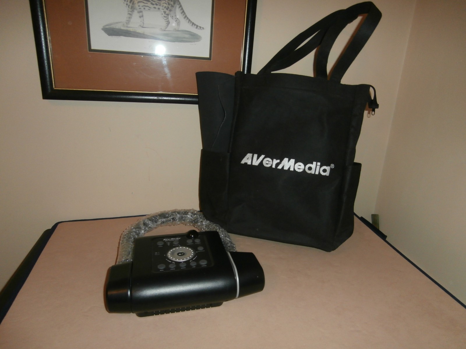 AverVision F50 USB Digital Camera/Scanner Portable Document Camera with 10X Zoom