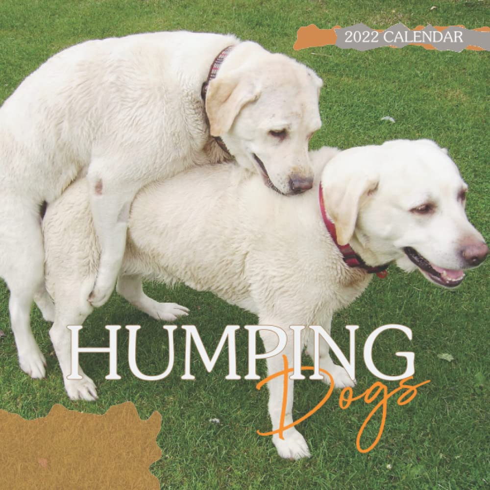 Humping Dogs Calendar: Special Funny Gag Calendar make Everyone Laugh - Great Gi