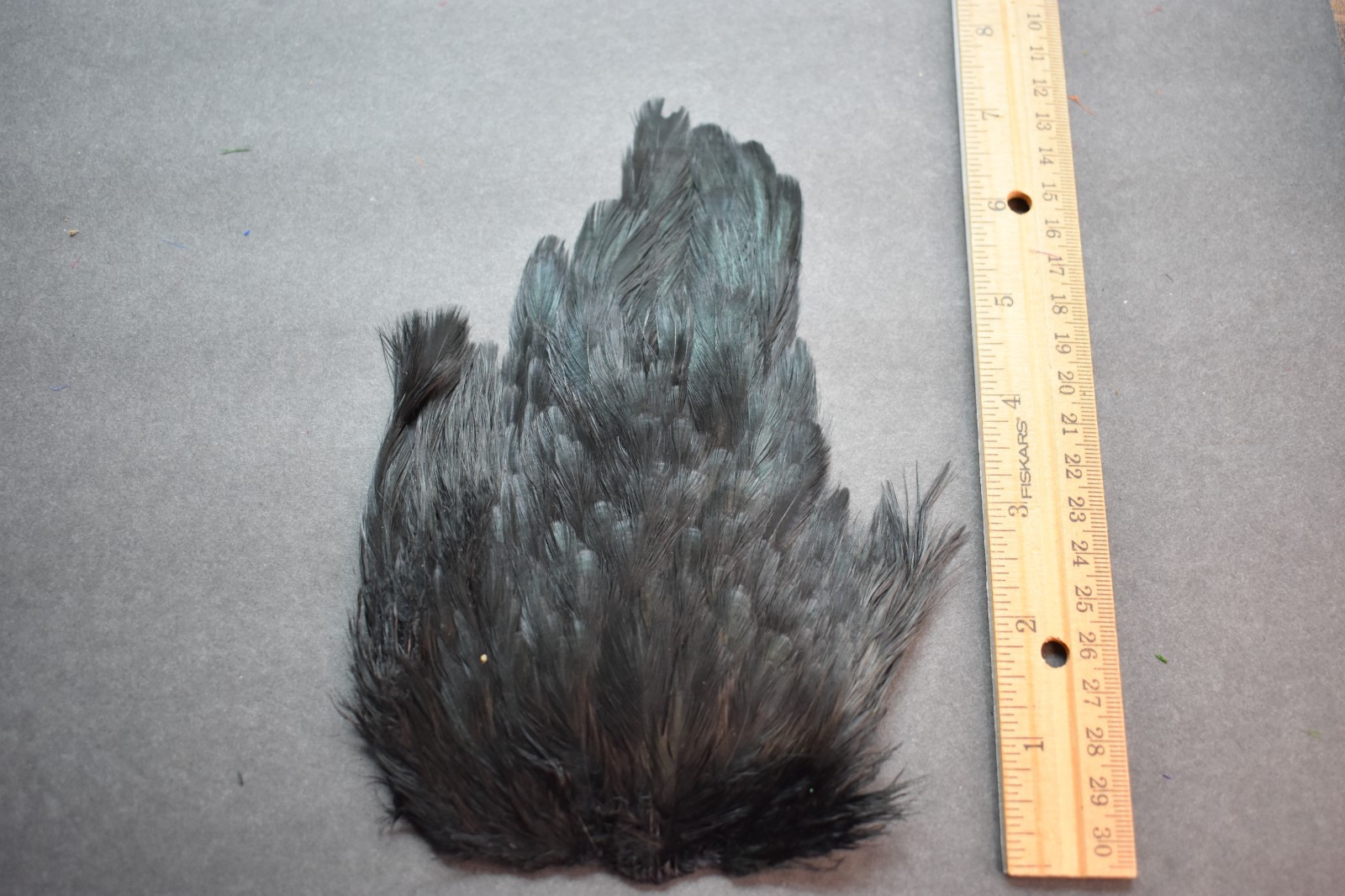 Lot 363, Dyed Black  India Hen Back Saddle Feathers for Fly Tying