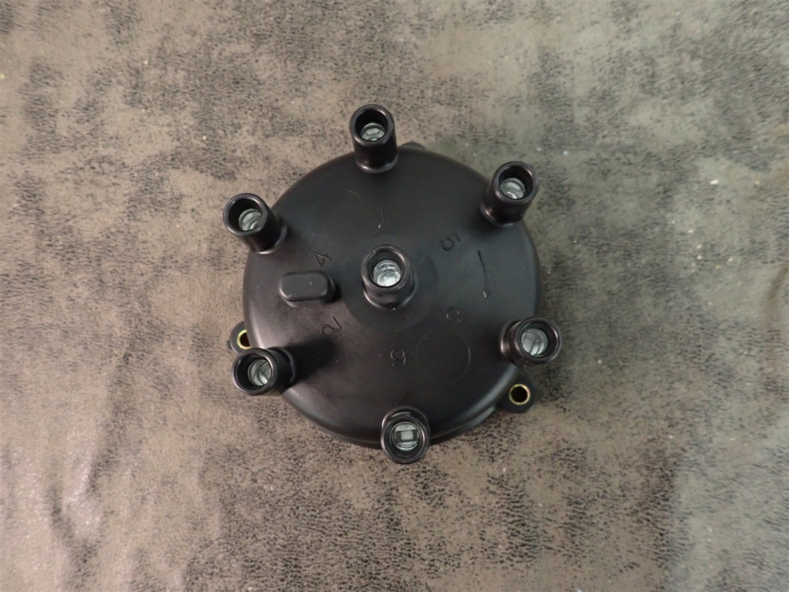 NEW WVE 5D1301 Distributor Cap (G209)