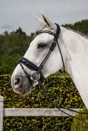 Dion Special Dressage Snaffle Bridle Headstall (Round Leather)