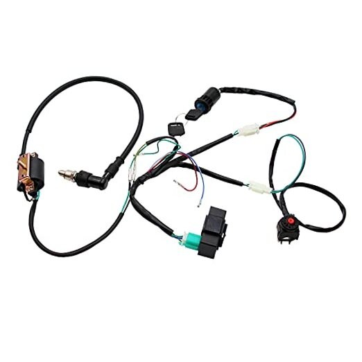 Lifan YX Complete Kick Starter Engine Wiring Harness Loom Kit for 50cc Blue