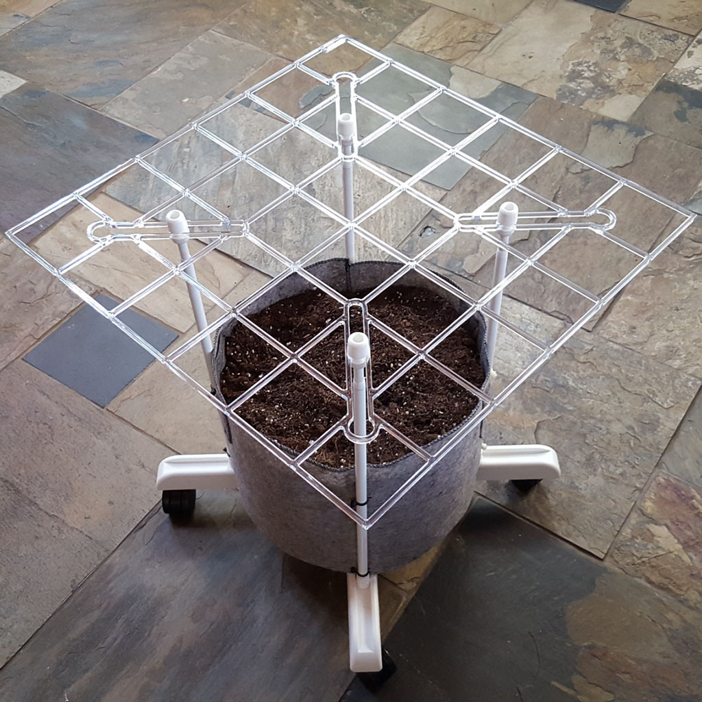 ScrOG Kit - "P SCROG Single Screen" shown with DWC bucket