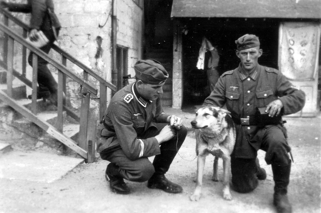 WWII B&W Photo German Soldiers with Dog WW2 World War Two Wehrmacht  / 2022
