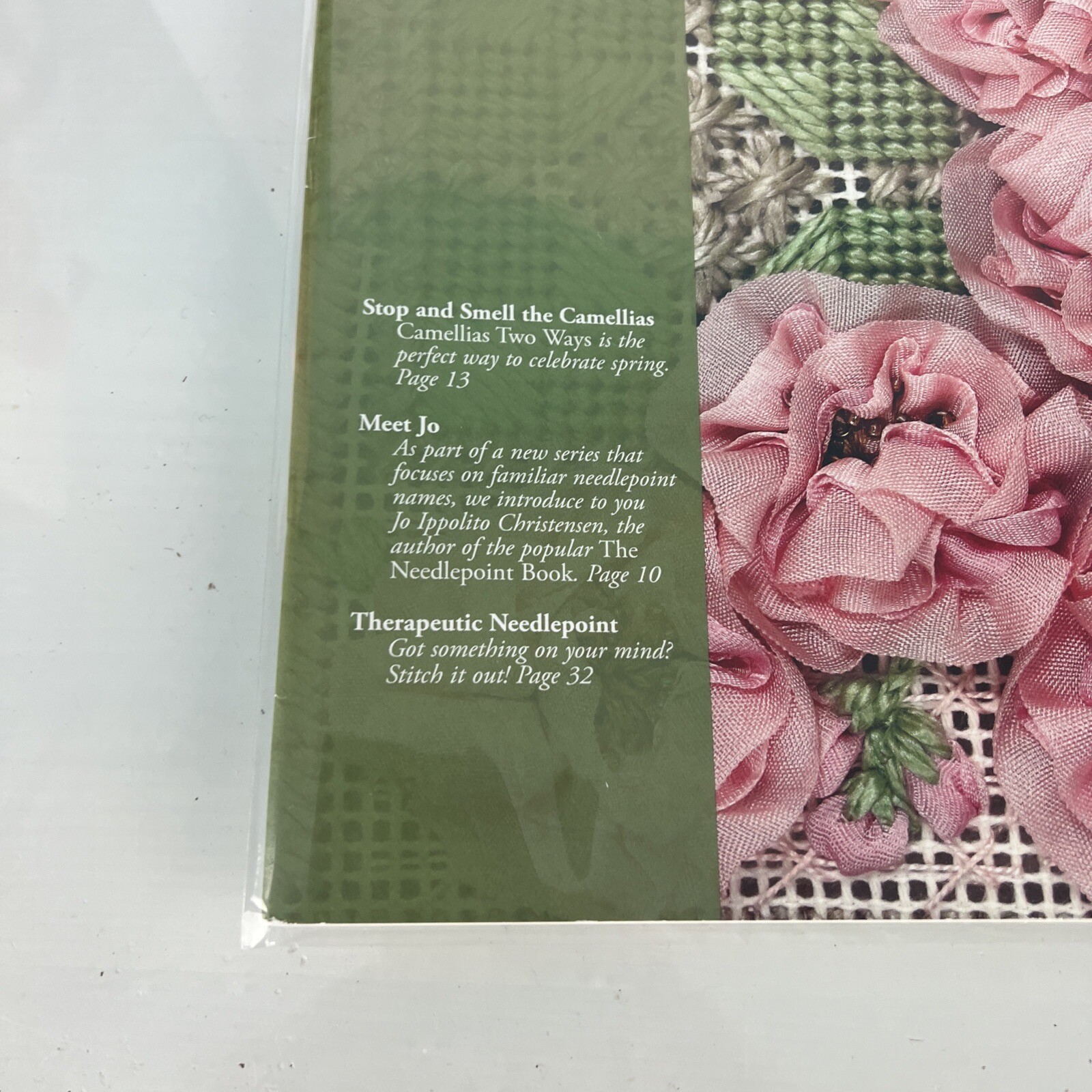 May 2015 NEEDLE POINTERS magazine by The American Needlepoint Guild Inc.