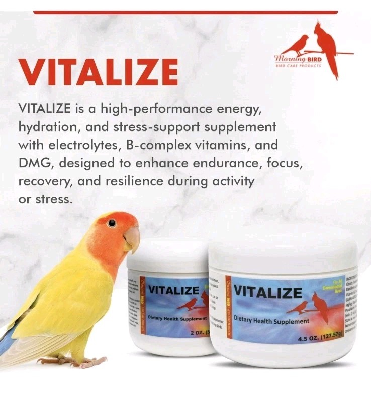 Vitalize for Birds 1 oz – & Dehydration Support – Promotes Hydration, Energ...