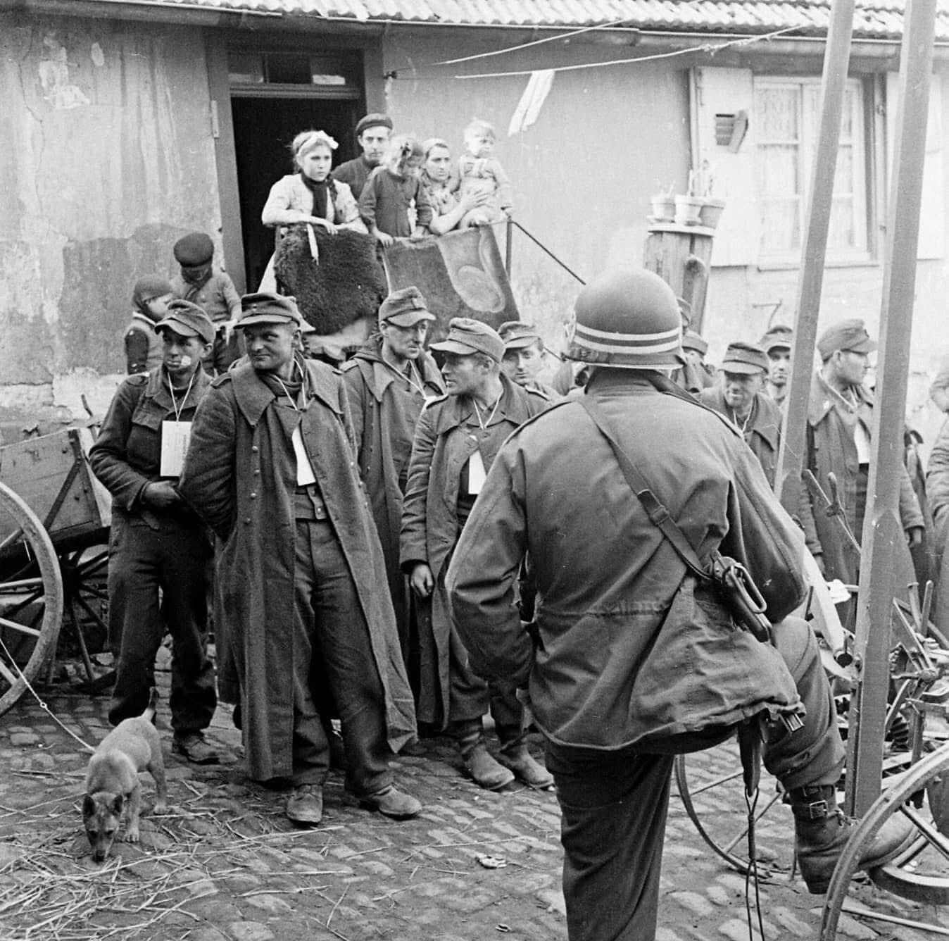 WW2 WWII Photo World War Two / German POW's March 1945 American Army MP's