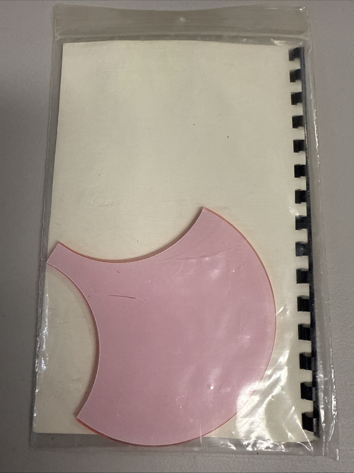 Shell Pattern and Template by Charlene Jorgensen New