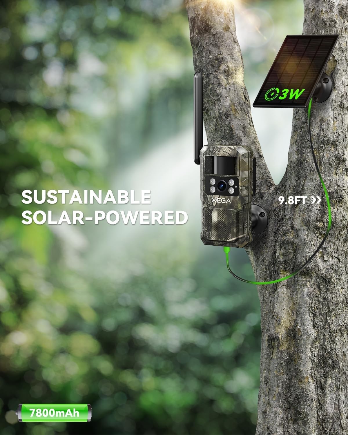 Remote Wildlife Surveillance with 4G LTE Trail Camera - TF and Cloud Storage