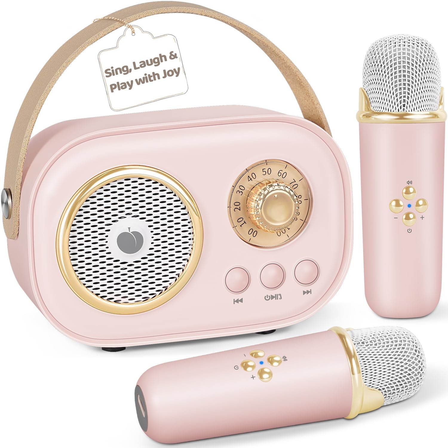 Mini Karaoke Machine Portable Bluetooth Speaker 4.1x2.8in 0.6lb Pink - Fun