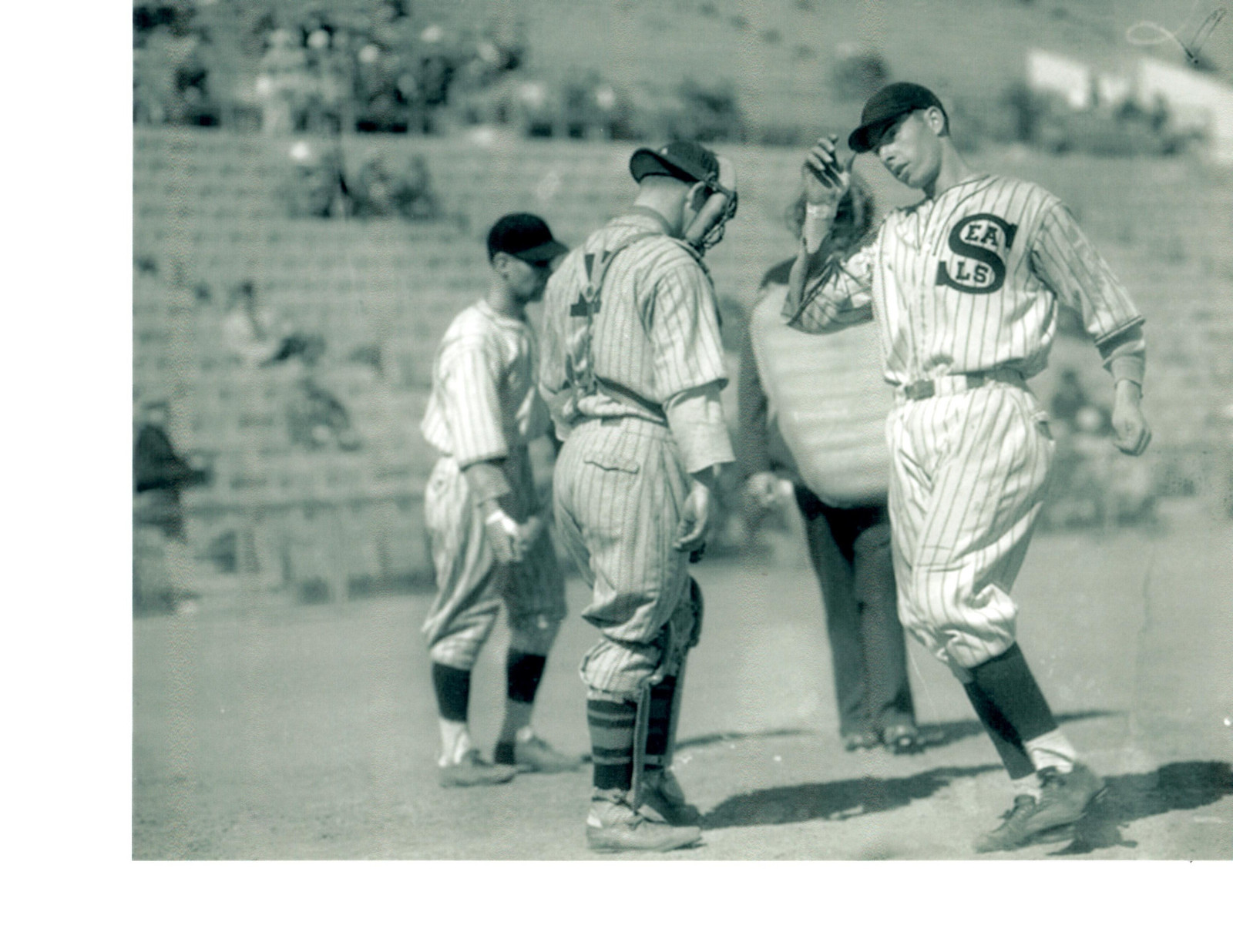1930'S SAN FRANCISCO SEALS PCL JOE DIMAGGIO 8X10 PHOTO YANKEES CALIFORNIA HOF