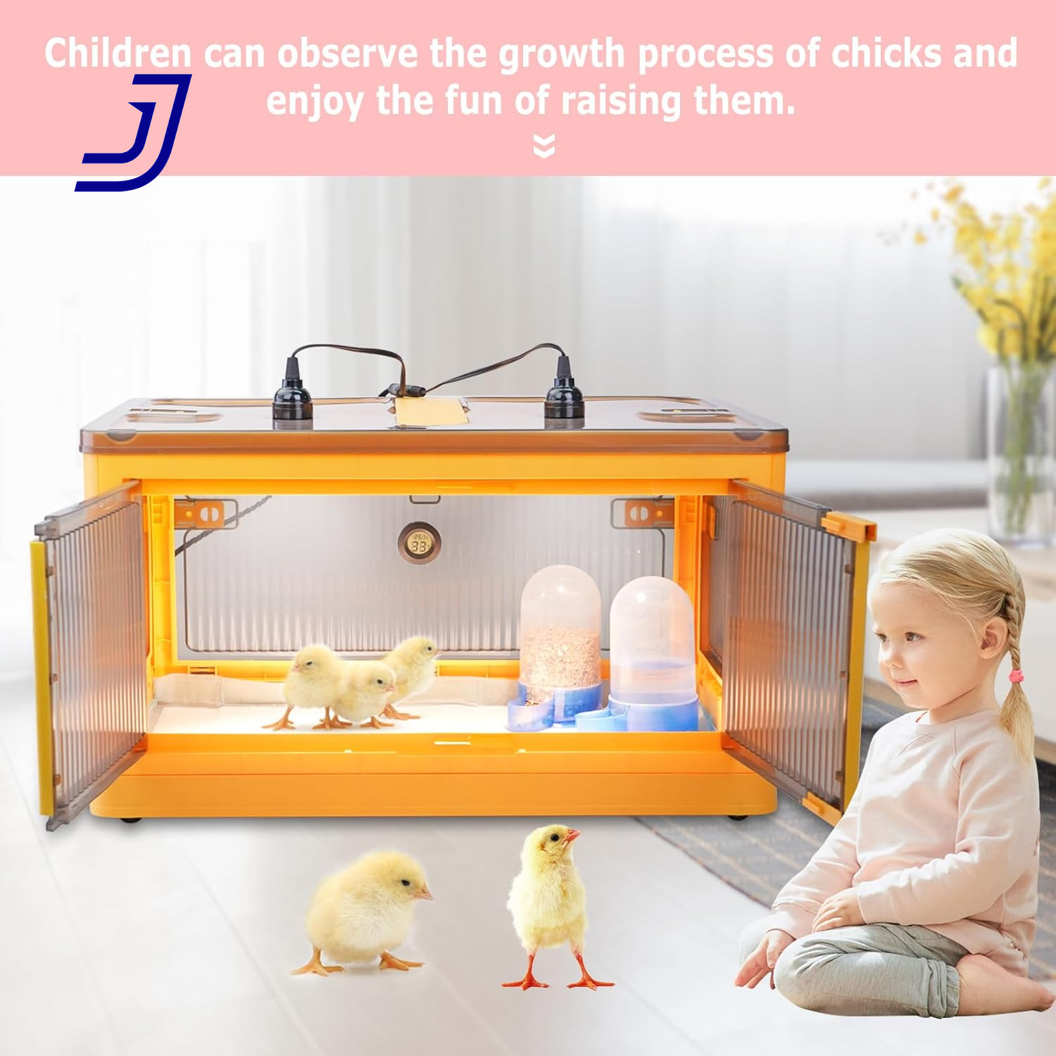 Chicken Brooder Box for Chicks Brooder Heater Chicks w/ Thermometer for 20 Ducks