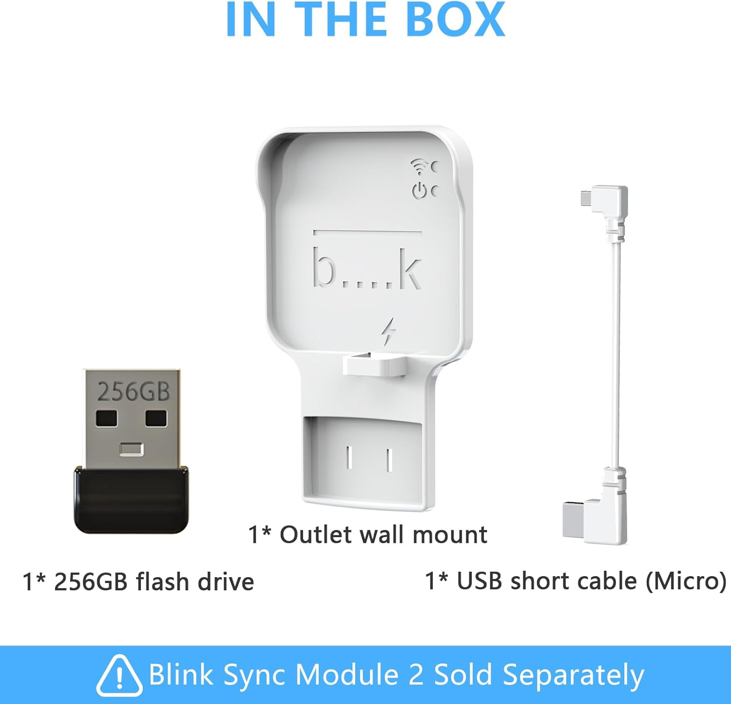 256GB Blink USB Flash Drive, with Outlet Wall Mount for Sync Module, Space-Savin