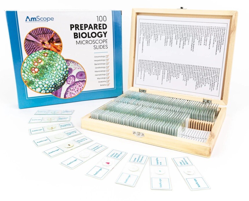 AmScope PS100A 100 Homeschool Biology Prepared Microscope Slides - Set A
