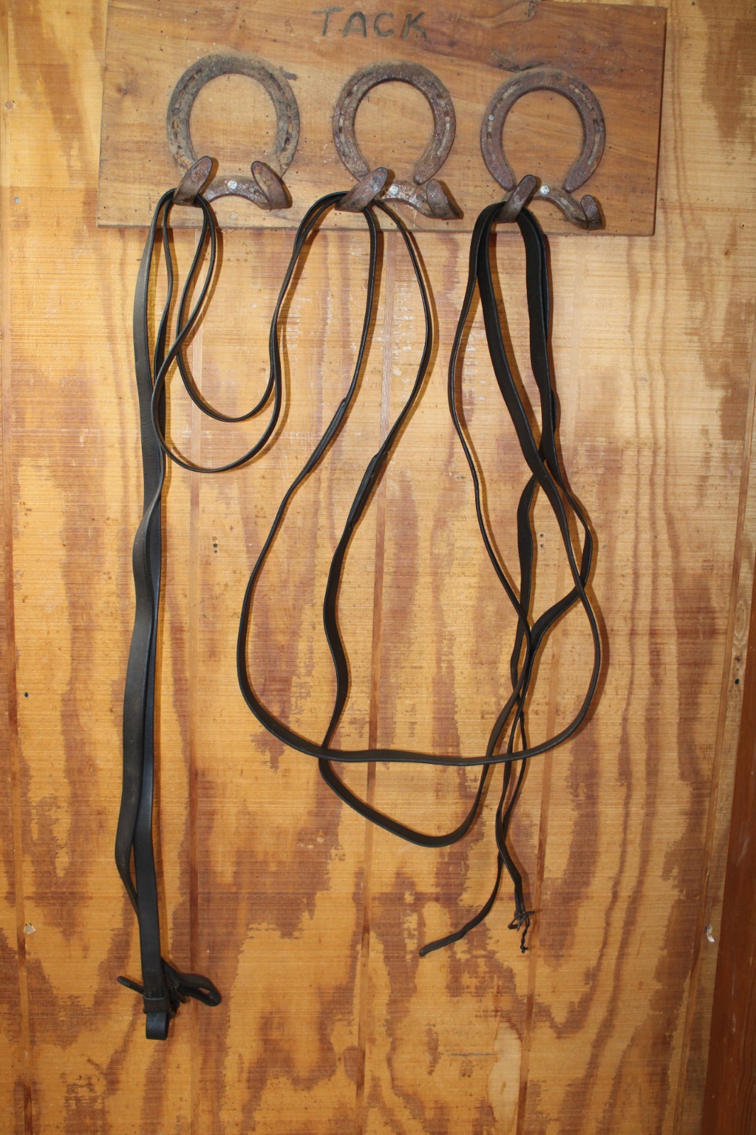 Buckle End Black Leather Driving Lines
