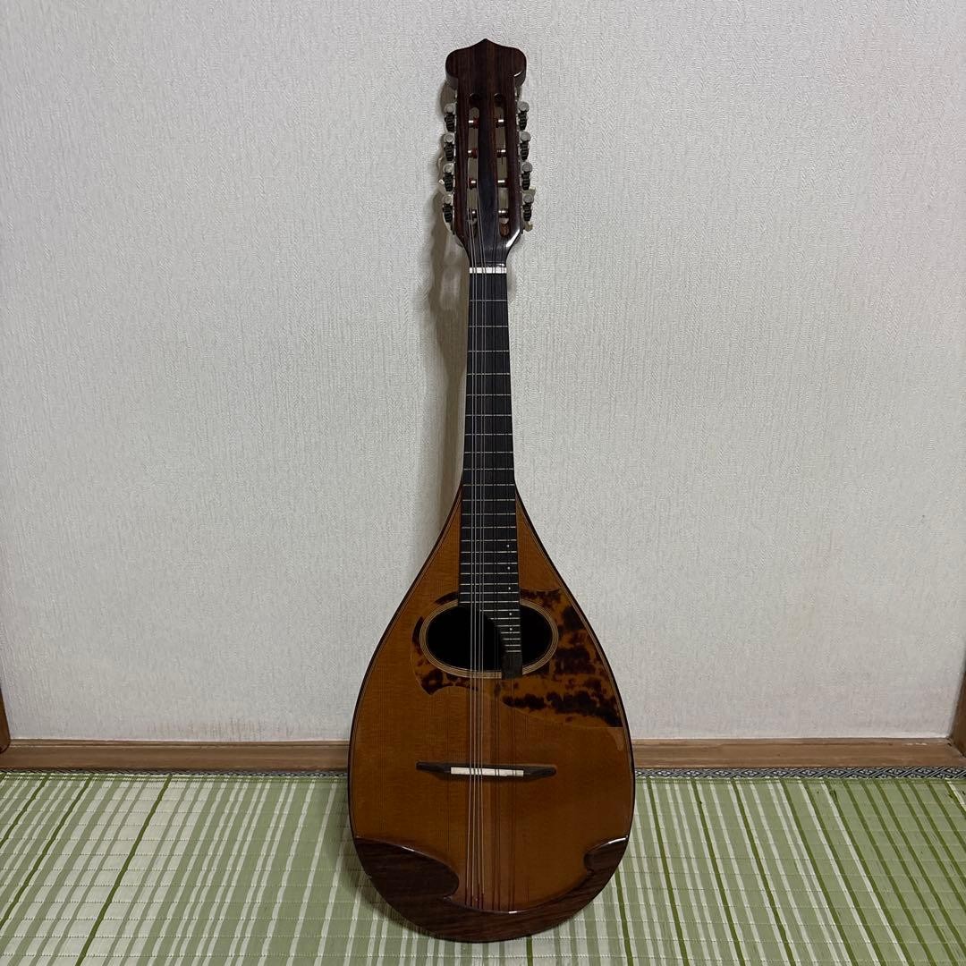 Raffaele Terada Musical Instruments High End Mandolin RM-3 String Guitar