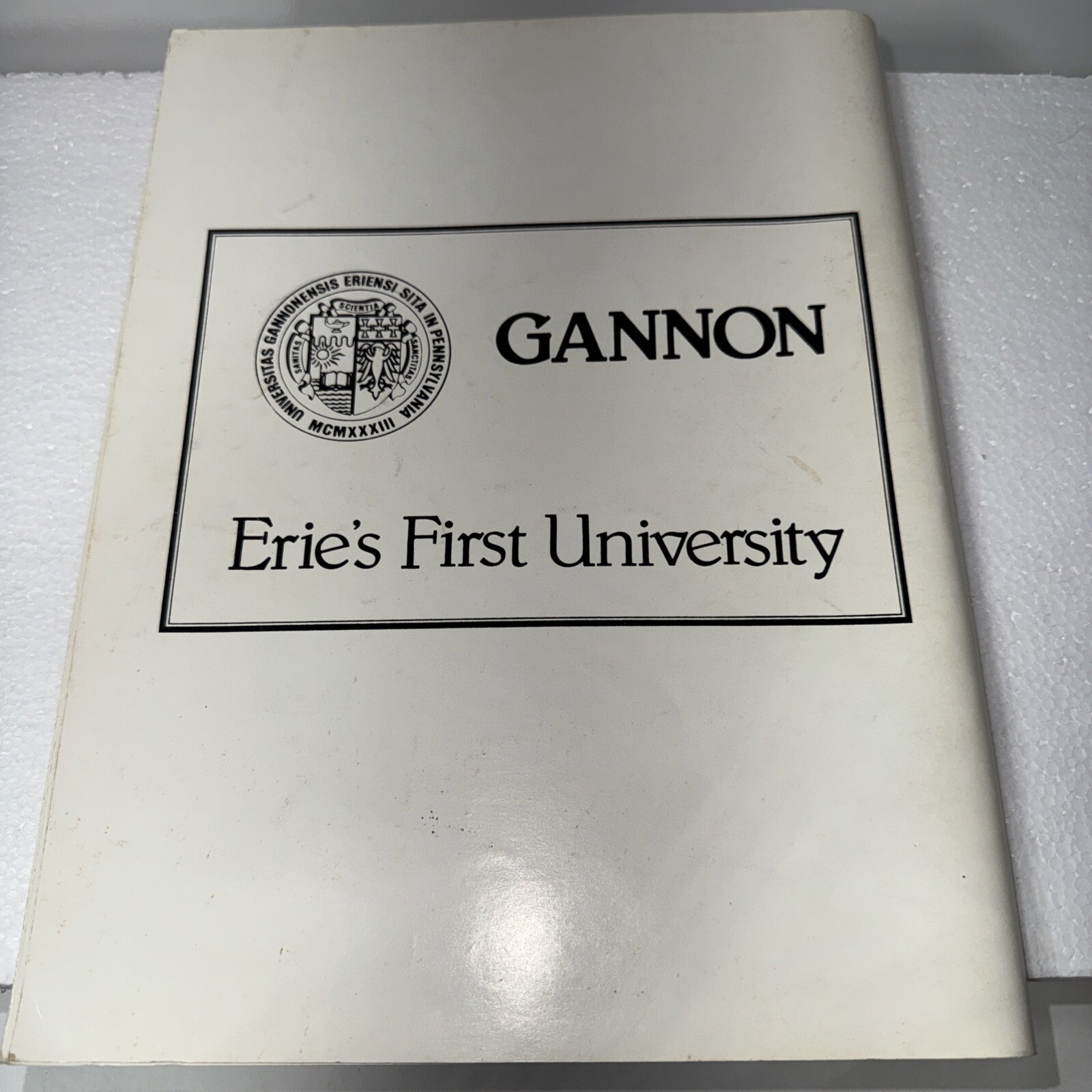 1985 Cathedral Prep School Erie Pa Football Program
