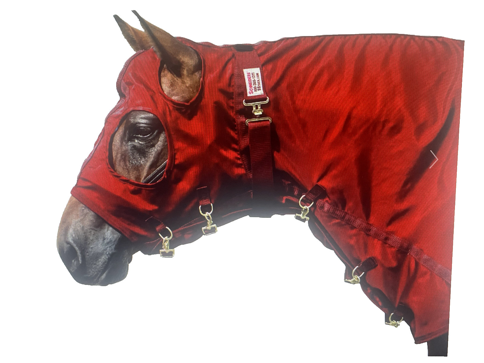 Schneiders Dura-Nylon Breathable Horse Sheet Hood SZ MED RED