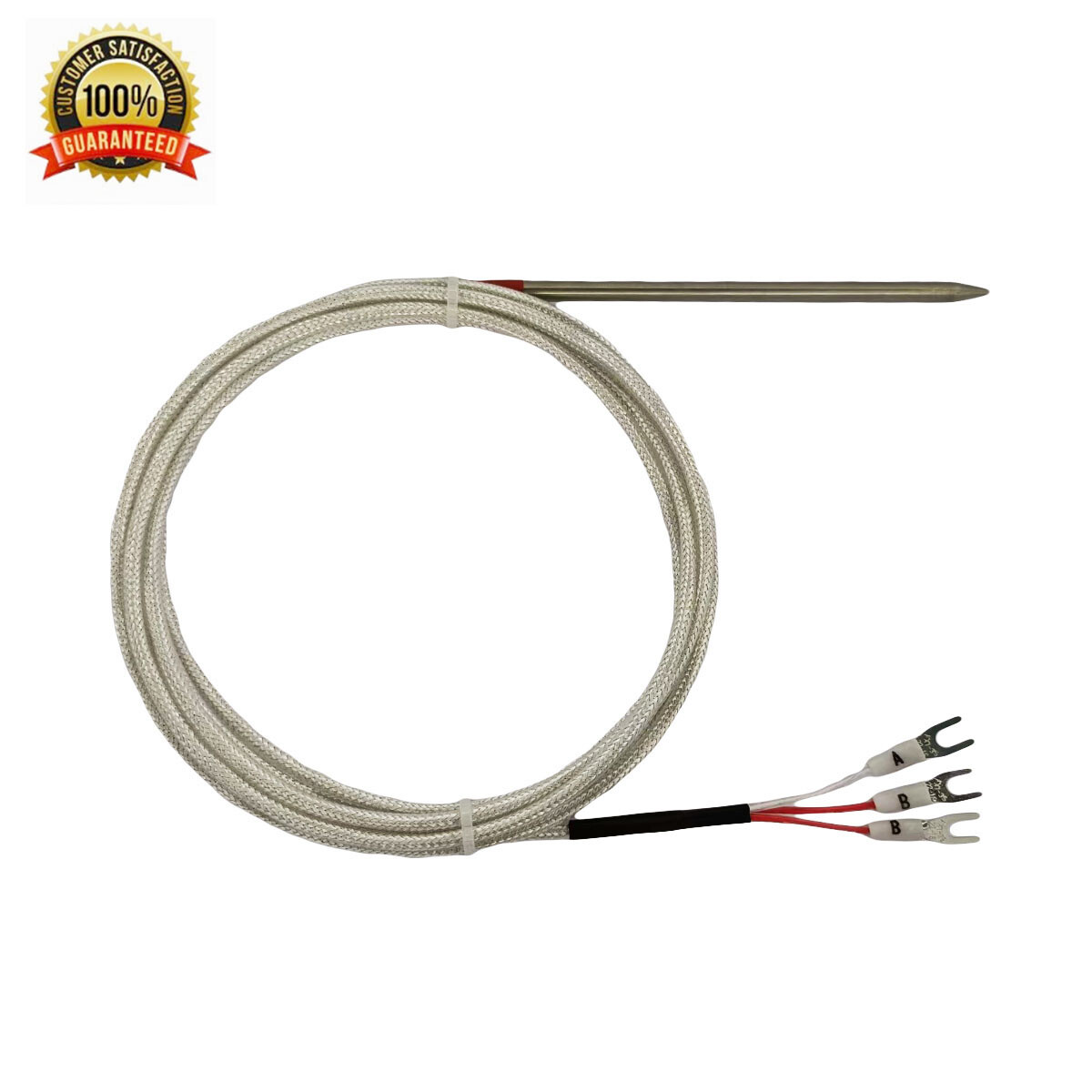 Sharp S.S. Meat Probe RTD PT100 Temperature Sensor with High Temperature Cable