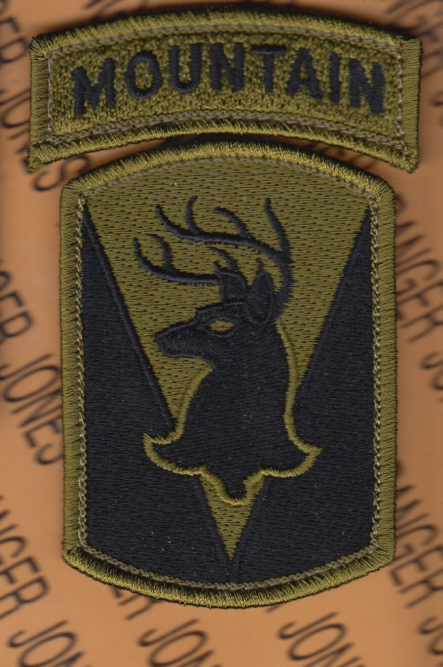 US Army 86th Infantry Regiment Mountain ODD OCP w/ HOOK ~4" patch tab set m/e