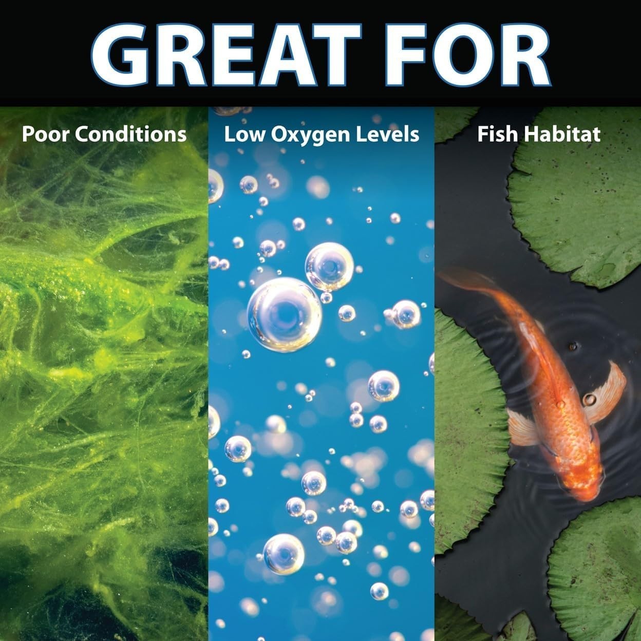 PondAir 2 Aeration System - Improves Water Clarity with Optional Faux Rock Cover